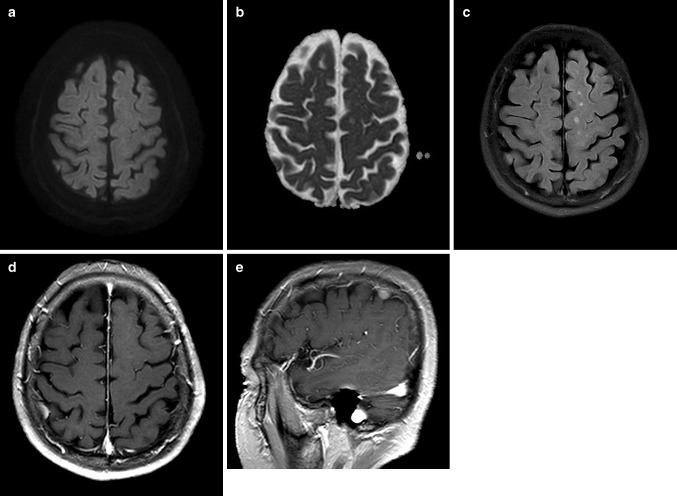 Fig. 5