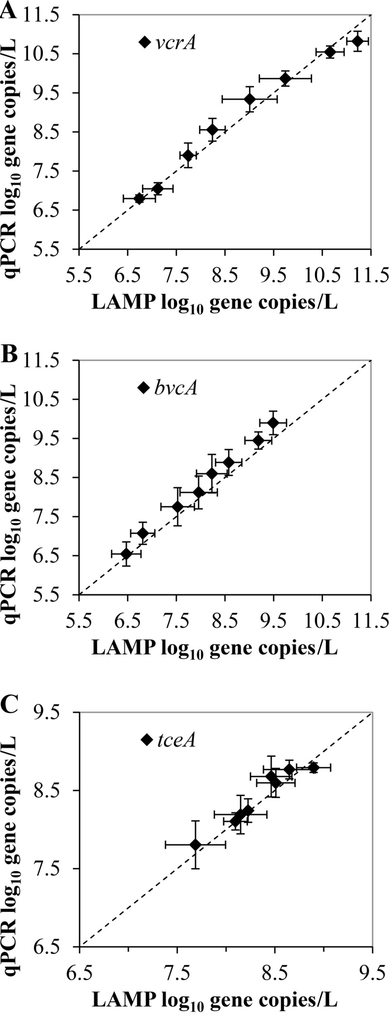 FIG 6