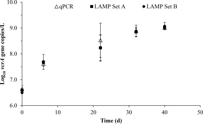 FIG 4