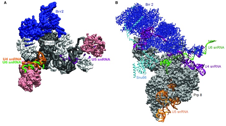 Figure 3. 