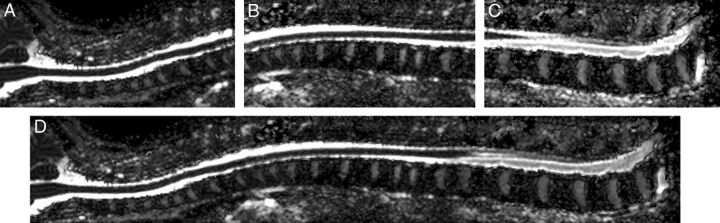 Fig 1.