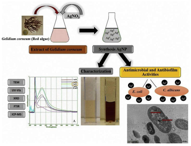 Figure 4