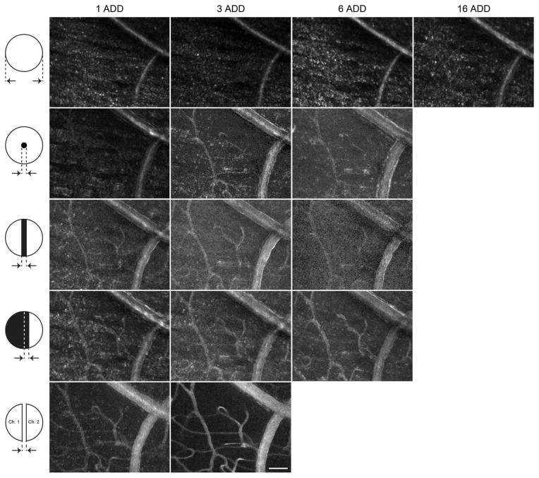 Fig. 6