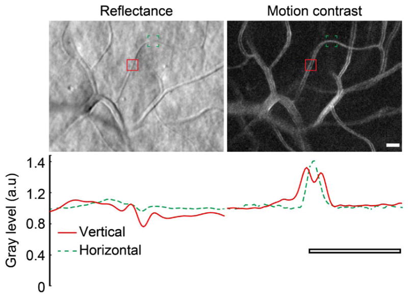 Fig. 10