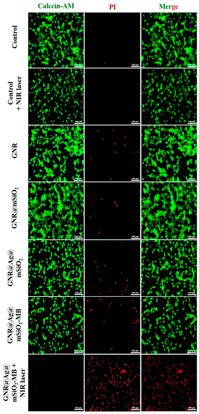 Figure 10