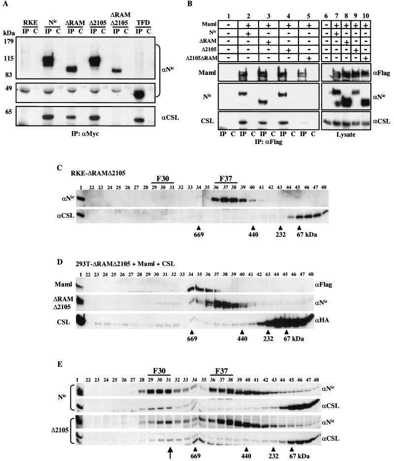 FIG. 6.