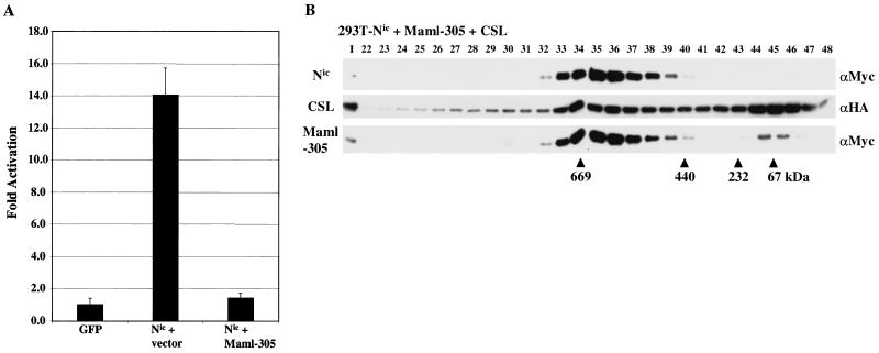 FIG. 8.