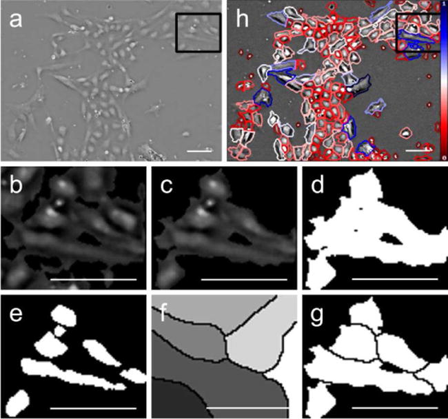 Fig. 3