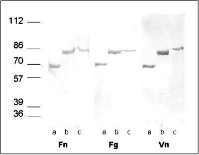 FIG. 5