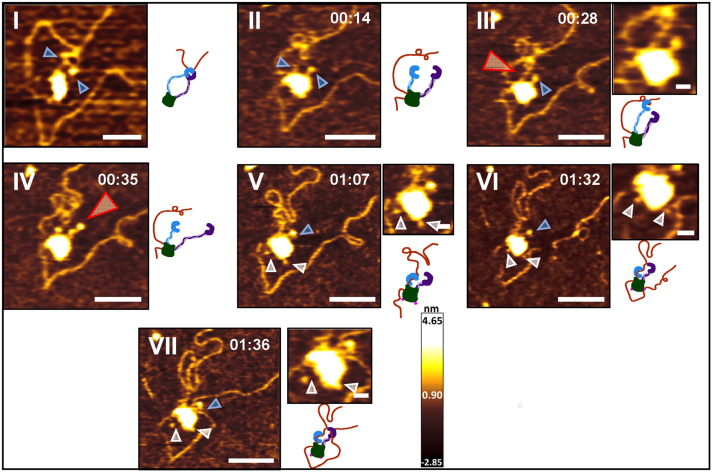 Figure 4