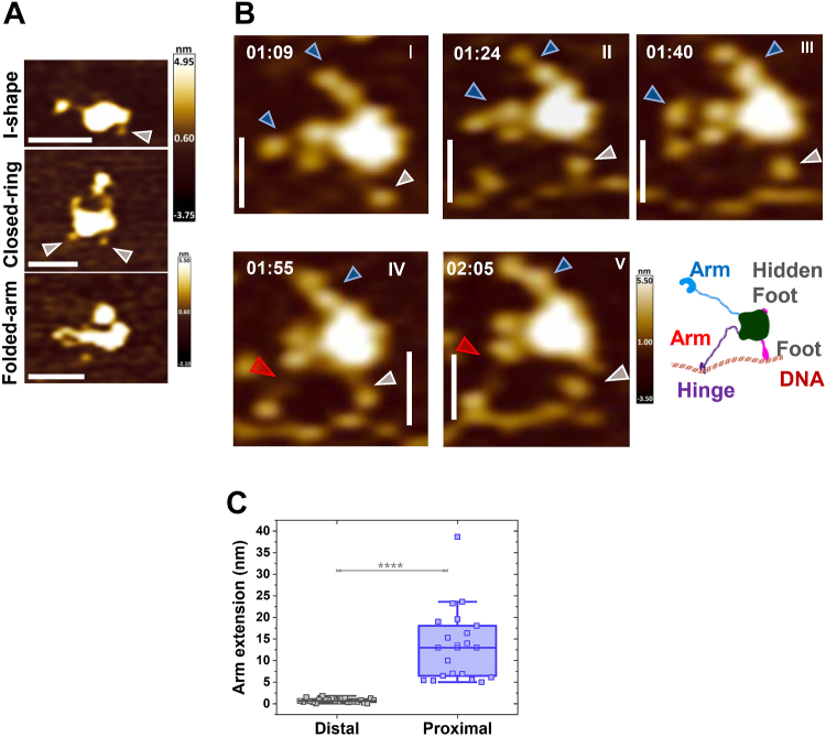 Figure 3