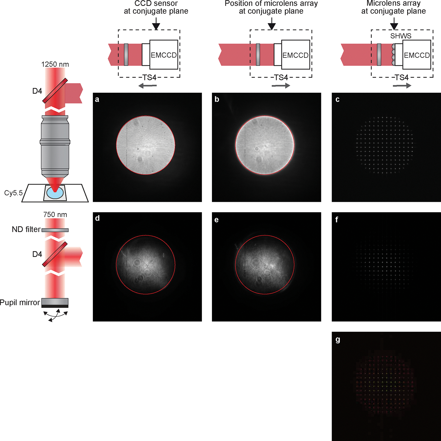 Figure 10 |