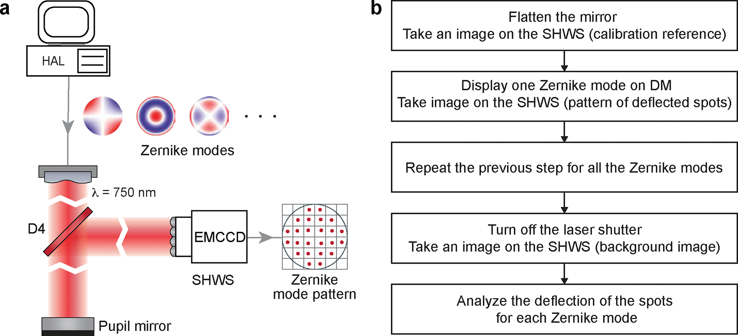 Figure 11 |