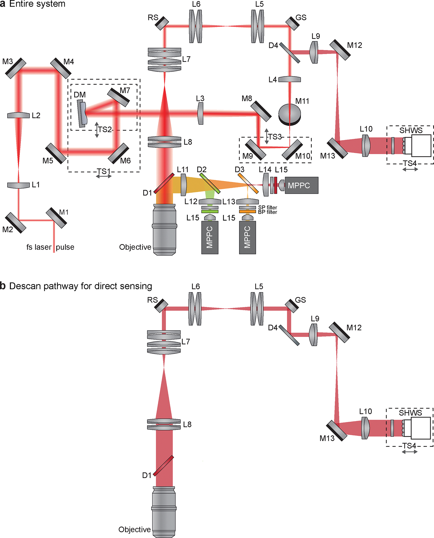 Figure 3 |