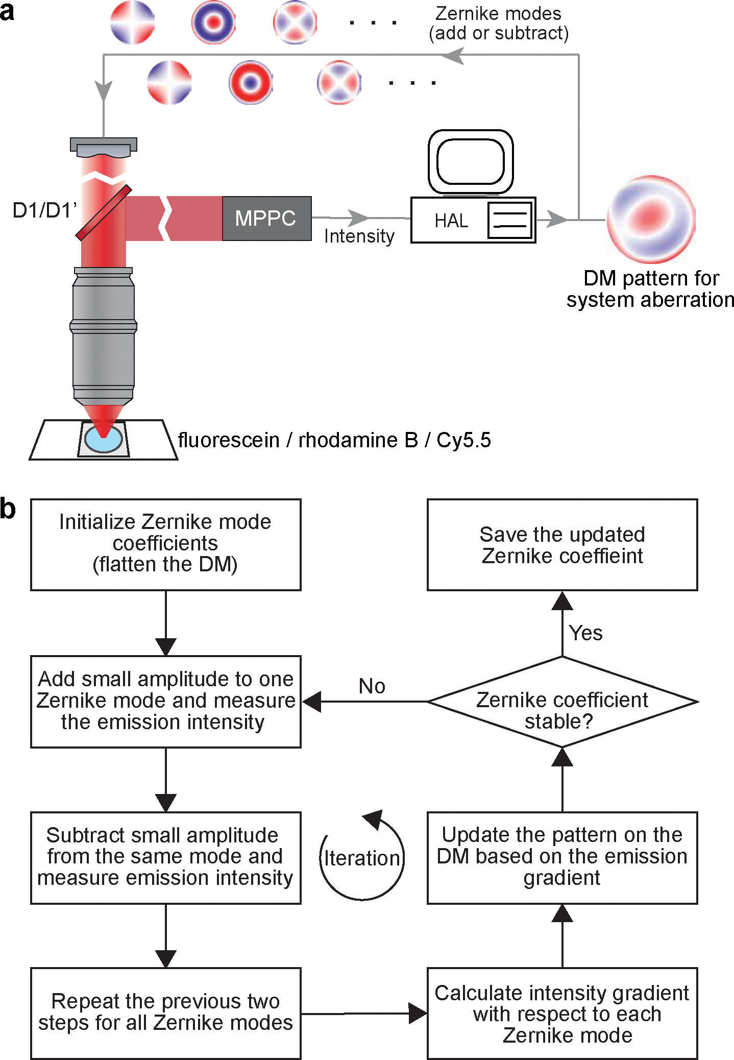 Figure 12 |