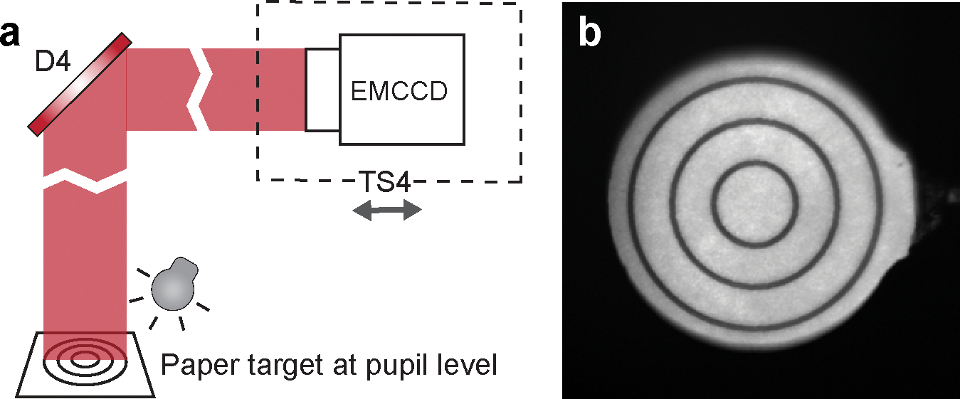 Figure 9 |