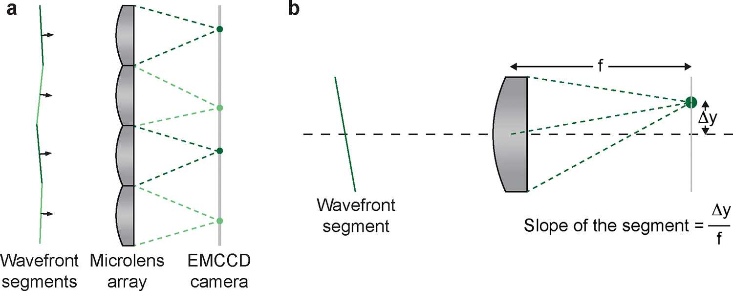 Figure 2 |