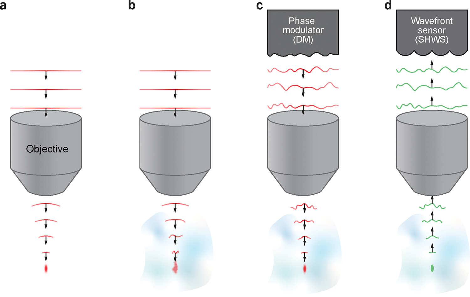 Figure 1 |