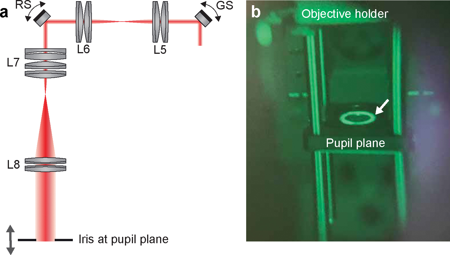 Figure 7 |