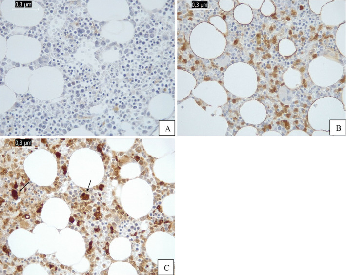 FIGURE 2