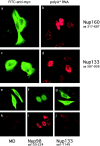 Figure 10.