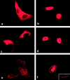 Figure 9.