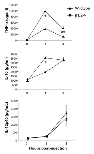 Fig.6