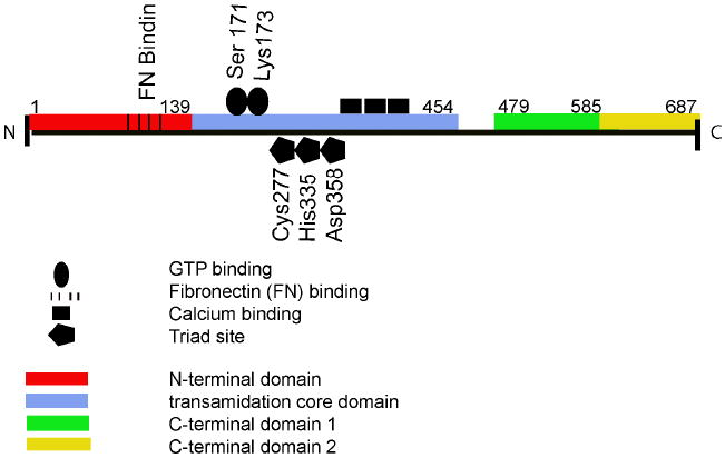 Figure1