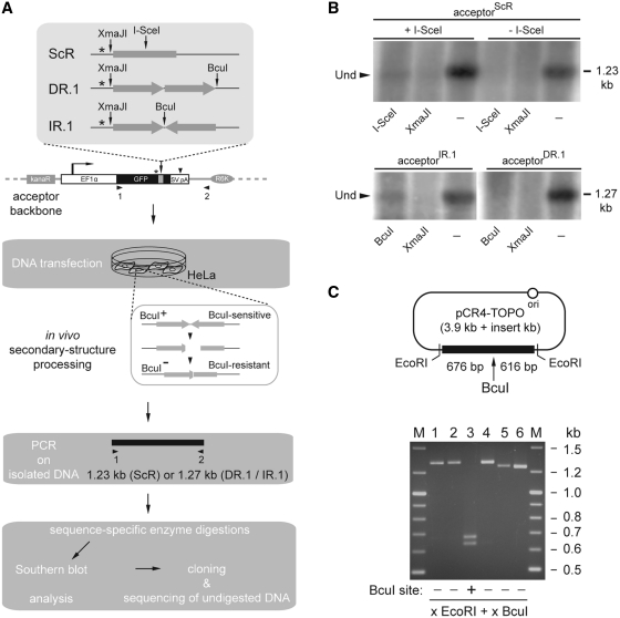 Figure 4.