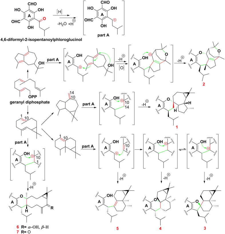 Figure 7