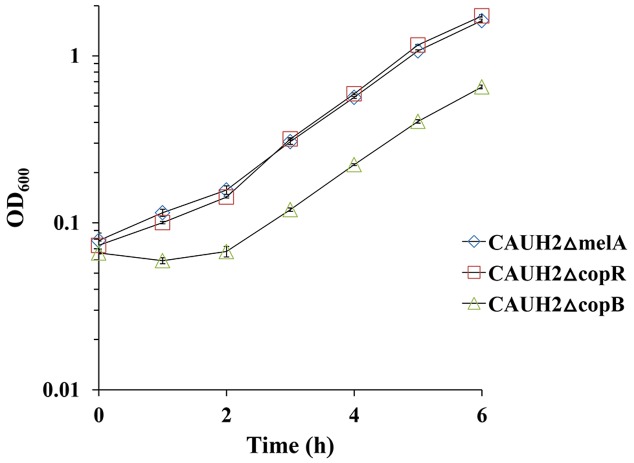 FIGURE 7