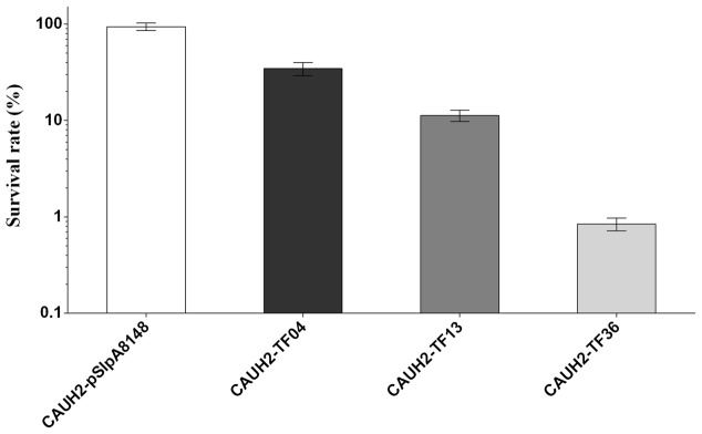 FIGURE 2