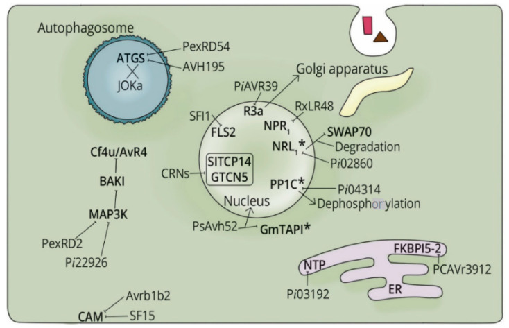 Figure 2