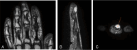 Fig 3: