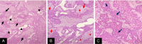 Fig 4: