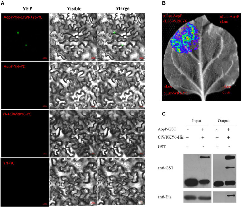 FIGURE 3