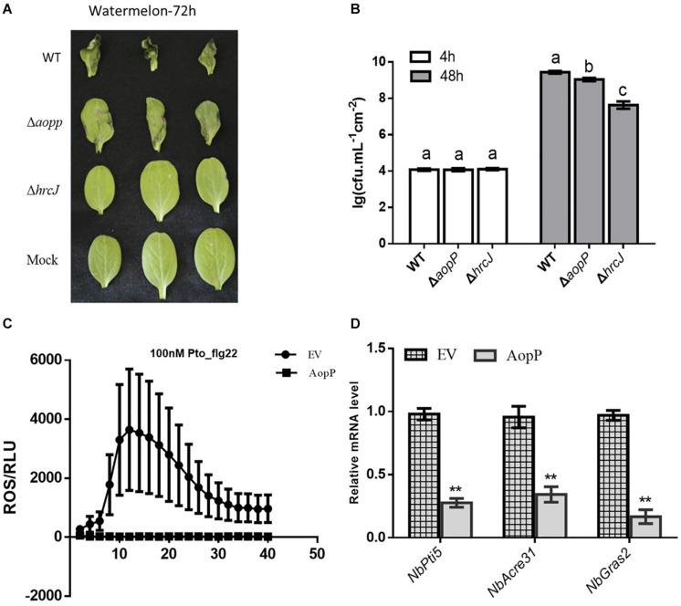 FIGURE 2