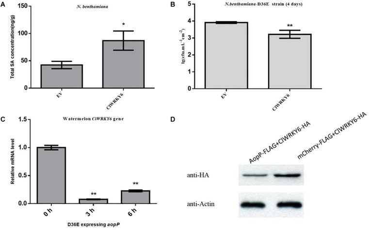 FIGURE 6