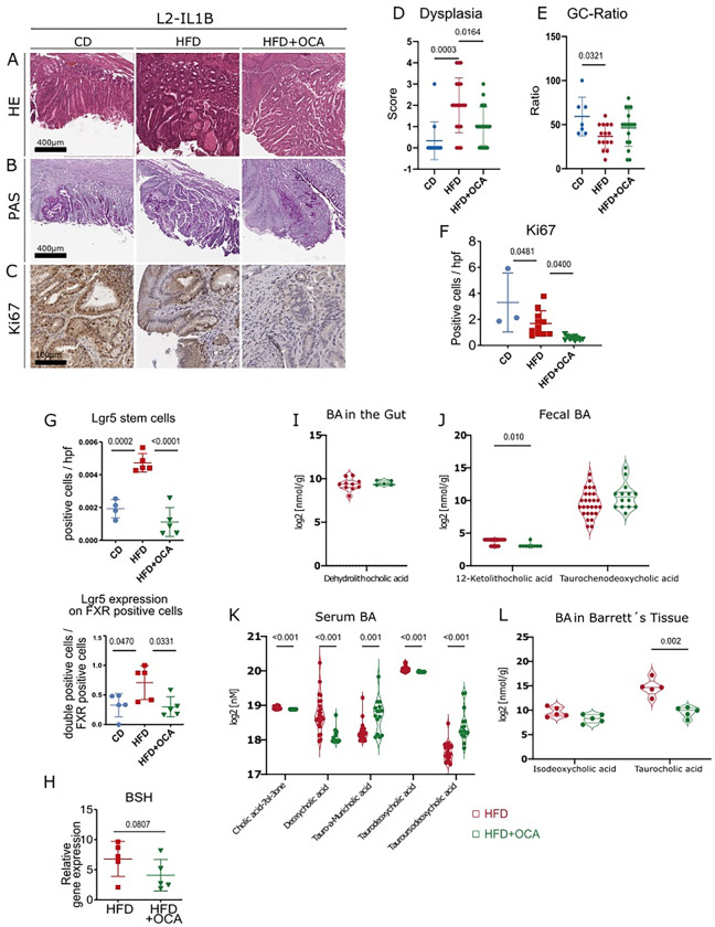 Fig. 4: