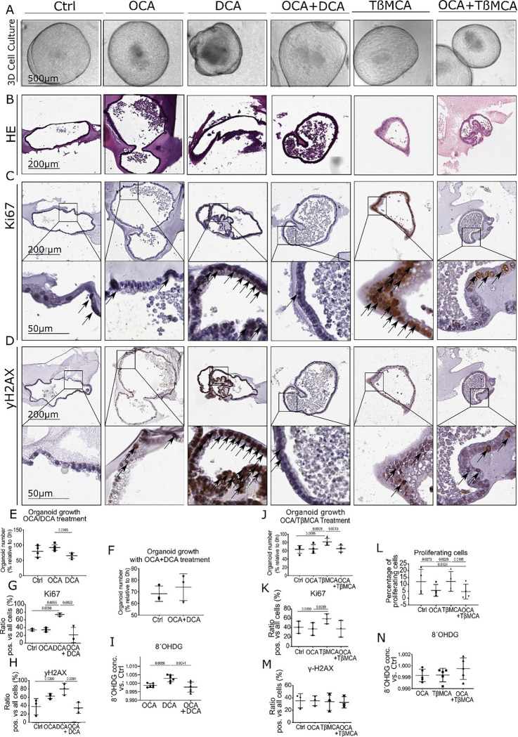 Fig. 3: