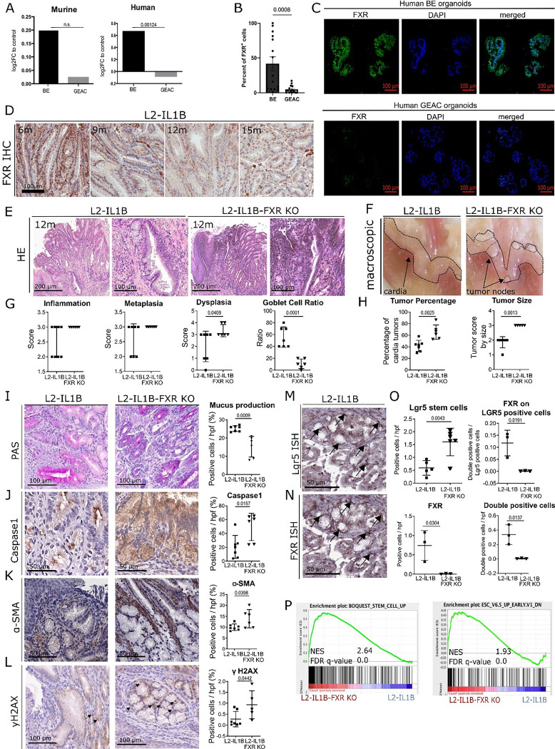 Fig. 2: