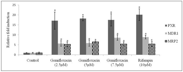 Fig 10