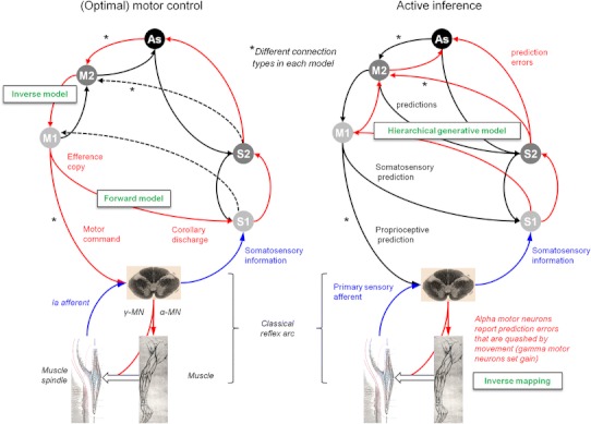 Fig. 1