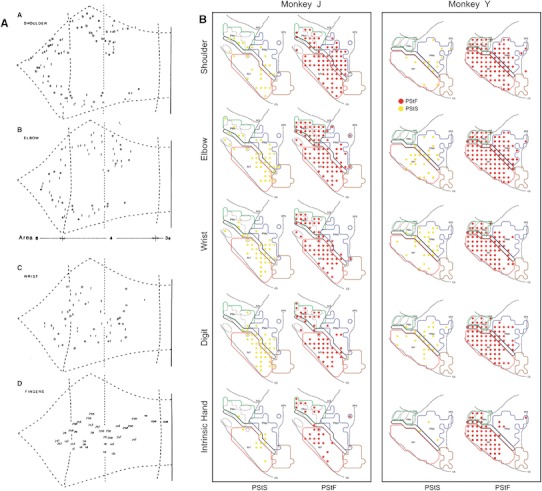 Fig. 8