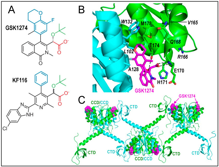 Figure 6