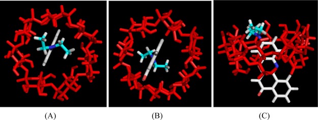 Figure 13