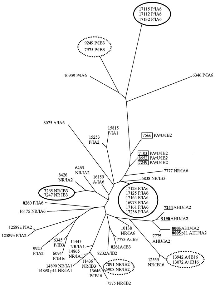 FIG. 3