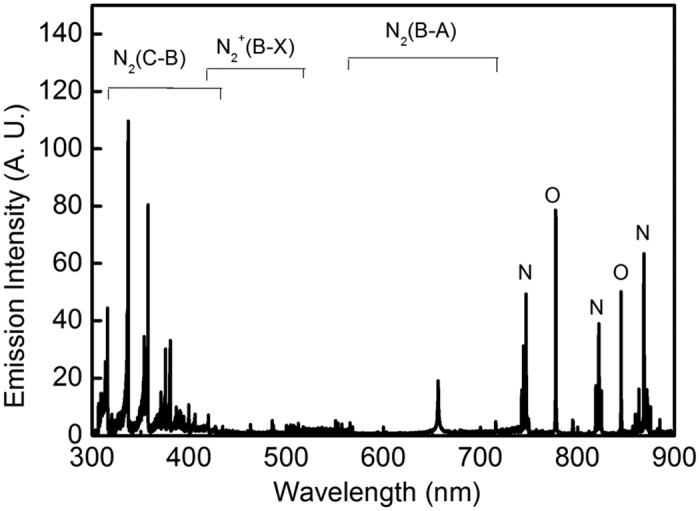 Figure 4