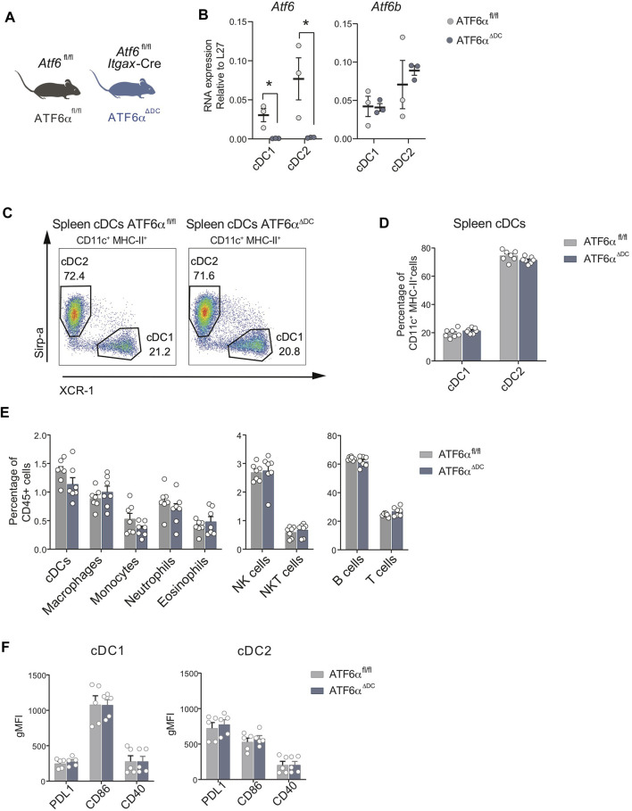 Normal Tissue Homeostasis And Impairment Of Selective Inflammatory Responses In Dendritic Cells