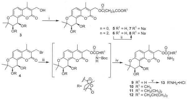 Scheme 1